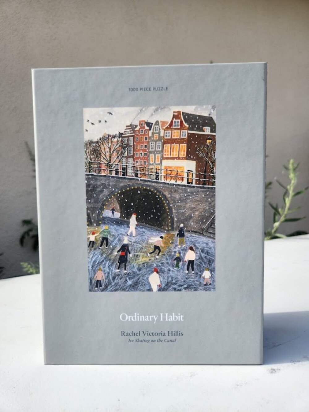 Ice Skating on the Canal 1000 Piece Puzzle Ordinary Habit Rachel Victoria Hillis